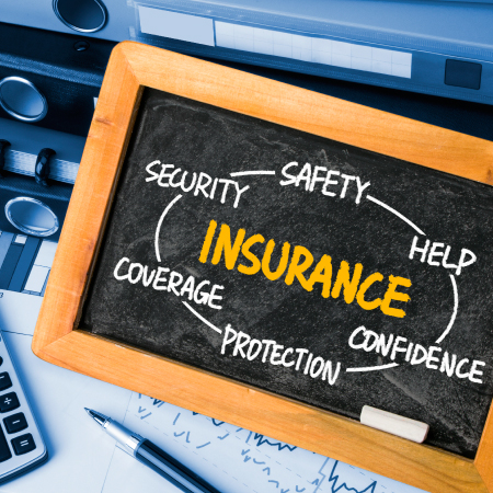 mitsde-insurance-risk